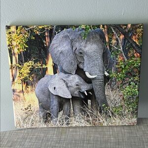Elephant Canvas Wall Art - Gray and Green